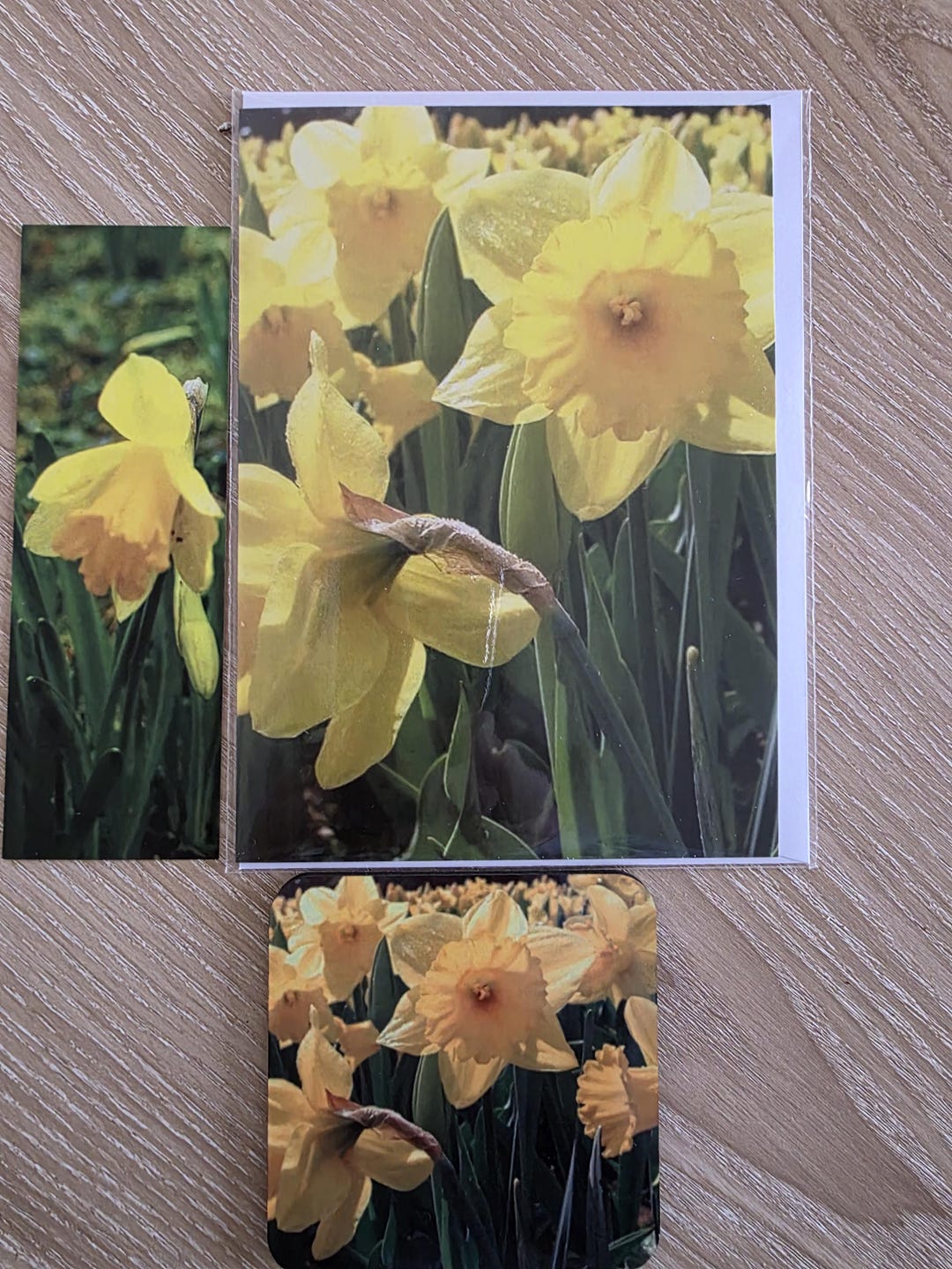 Spring Marie A Daffodil Bundle for Spring ,marie Curie and St David's Day. Limited ...