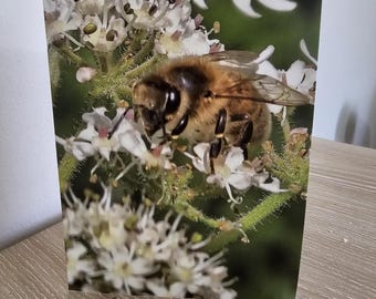 Handcrafted Bee Greetings Card: Nature-Inspired Thank You Notes