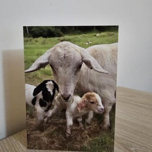 Mutter Ziege mit Doppel Kinder Grußkarte | Biologisch abbaubar | Nachhaltige Kunst | Hergestellt in Großbritannien