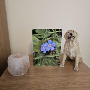 de voeux fabriquée à la main de Zazzle.be Liste d'envies Vous avez des idées ? Respectueux de l'environnement et polyvalent | Fabriqué au Royaume-Uni avec une enveloppe, entièrement durable