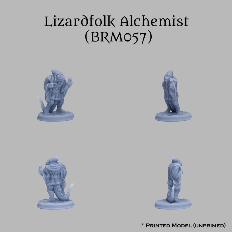 Lizardfolk Robe Lizardfolk Tribe Fantasy Animalfolk Miniatures Set for D&D, Ttrpgs ...