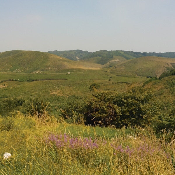 Landscape Photography | Digital Art Print | Instant Download | Mountainside | Grassy Hills | Wildflowers