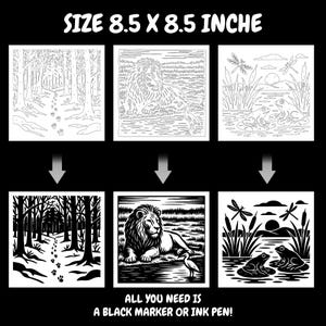 May include: Black and white line art illustrations of a forest path, a lion with a bird, and frogs in a pond. The text "SIZE 8.5 X 8.5 INCHE" and "ALL YOU NEED IS A BLACK MARKER OR INK PEN!" are also present.