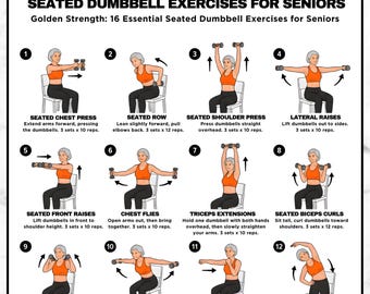 Seated Dumbbell Exercises Chart for Seniors, 16 Routines (PDF Download)