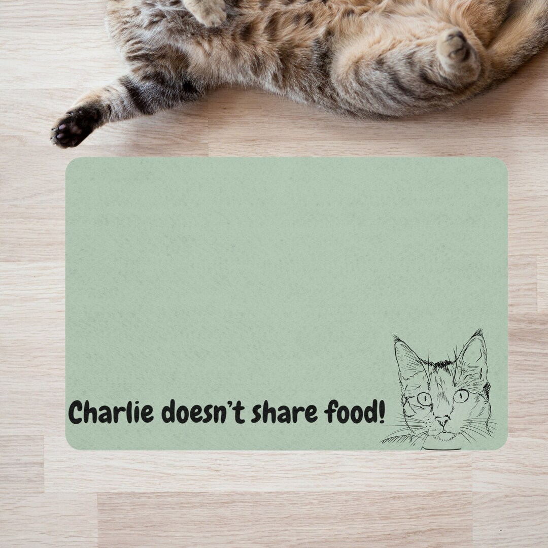 Personalized Pet Food Mat Using Photo and Name Pet Christmas Etsy