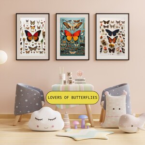 Butterfly  digital download, beautiful colorful butterflies