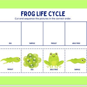 Frog Life Cycle Cut and Paste Worksheet