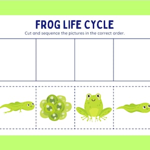 Frog Life Cycle Cut and Paste Worksheet