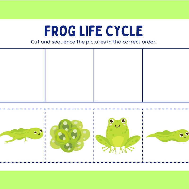 Frog Life Cycle - Etsy