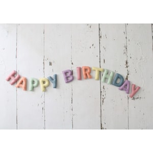 Happy Birthday Banner, Felt Birthday Banner, Reusable Birthday Banner, Birthday Garland, Pastel Party Decor, Pastel Rainbow Decor