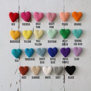 Peut inclure: Une collection de 20 cœurs en feutre de différentes couleurs, dont rouge, fuchsia, rose, pêche, orange, souci, jaune, jaune pâle, mousse de mer, vert kelly, bleu œuf de robin, sarcelle, turquoise, bleu poussiéreux, bleu royal, violet royal, lilas, rouille, amande, blanc, gris et noir.