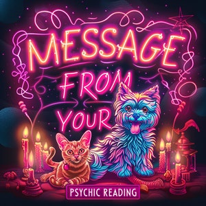 Dezelfde dag bericht van je huisdier Paranormaal lezen: kat hond waarzeggerij Paranormale geest Medium Tarot Soul Reading, Animal Thought Mind Reader