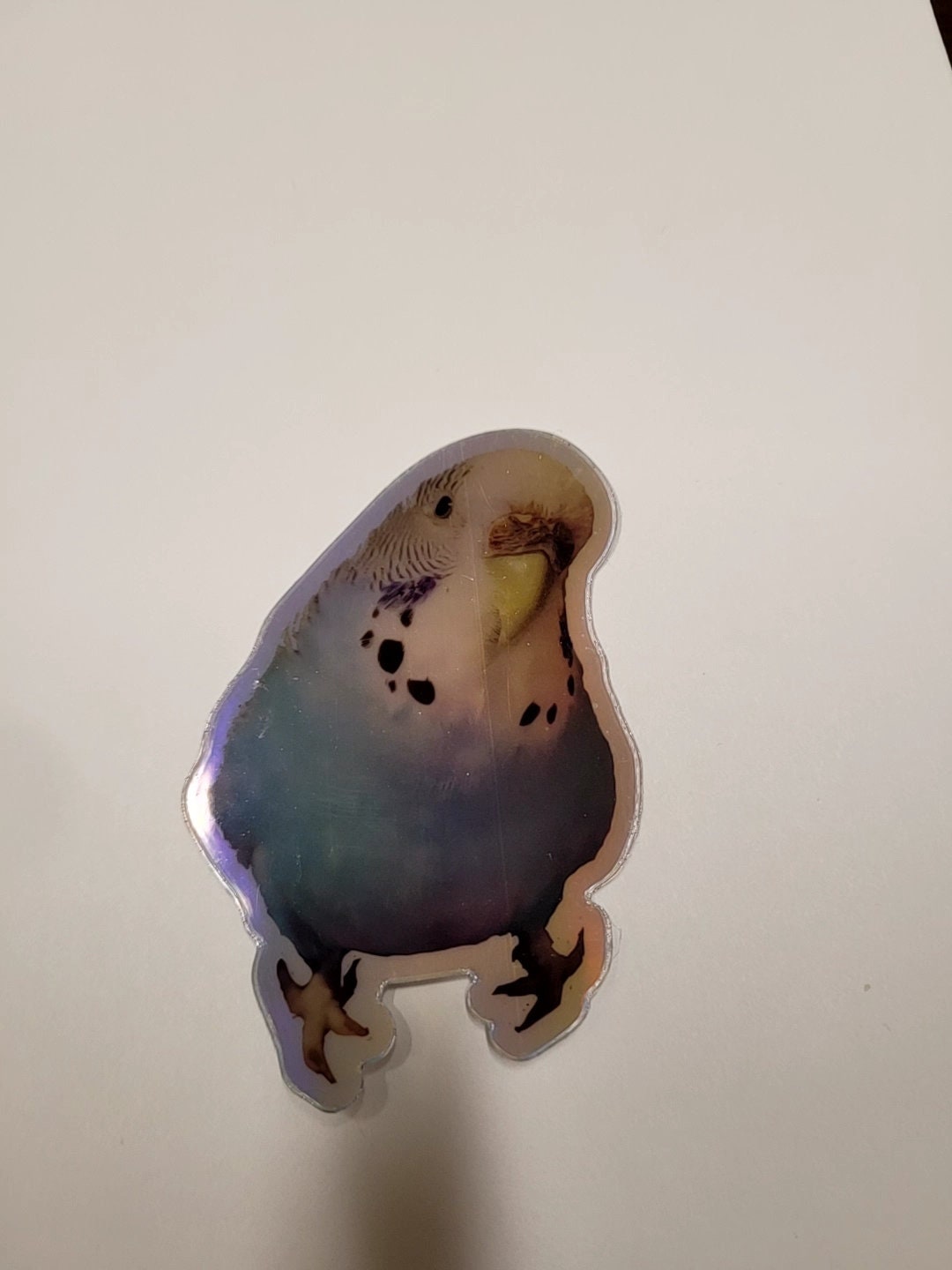 Budgie Holographic Sticker - Etsy