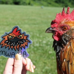 Evil Roo Holographic Vinyl Chicken Sticker, Rooster Bumper Sticker, Cute Chicken Gifts, d&#39;Uccle Chicken Breed