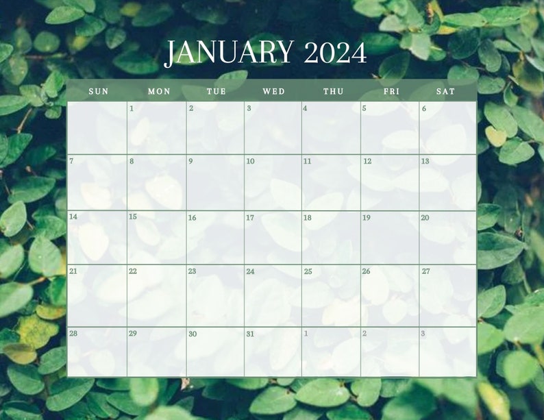 2024 Printable Plant Calendar Etsy