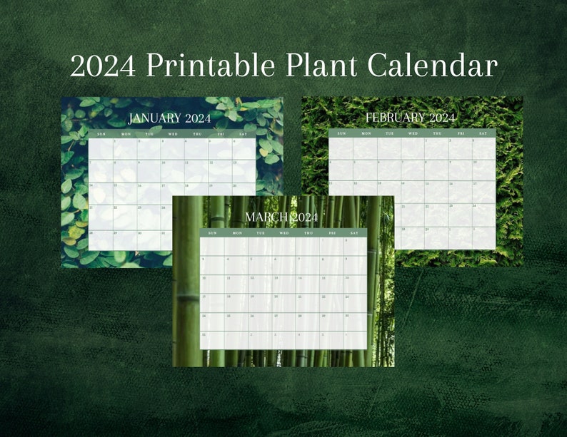 2024 Printable Plant Calendar Etsy
