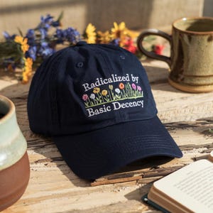 Social Justice Activist Embroidered Hat, Gift for Socialist, Liberal Accessory, Basic Decency, Democracy Gift
