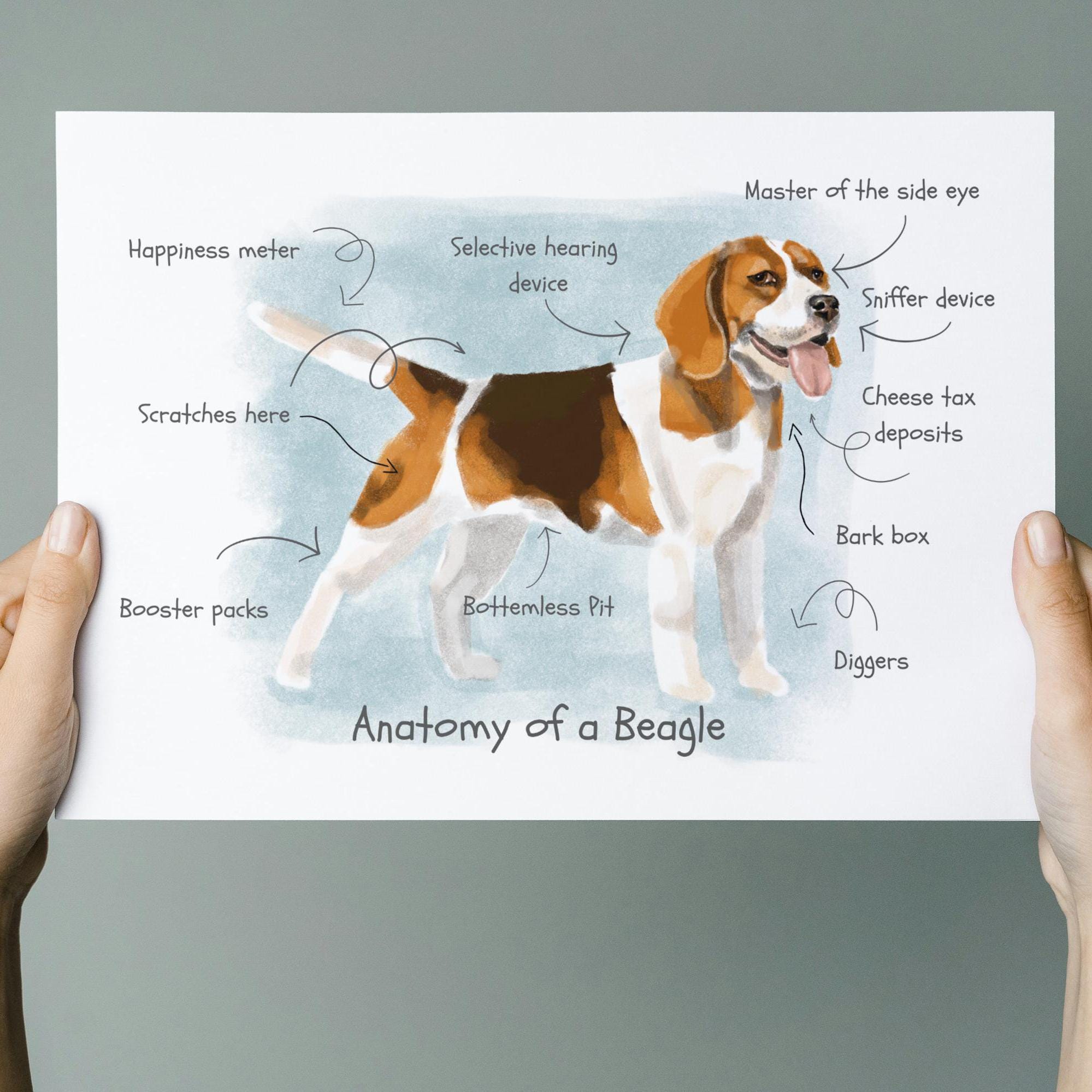 Anatomy of a Beagle Art Print | Quirky Dog Illustration, Beagle