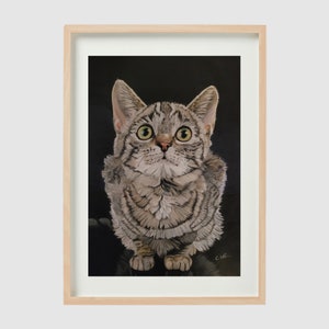 Gatito dibujado a mano