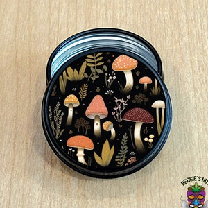 Witchy Mushroom Mini Pill Case, Pill Box Case Holder, Medication Pill Storage, Travel Pill Box Container, Stoner Gift, Witchy Stash Box