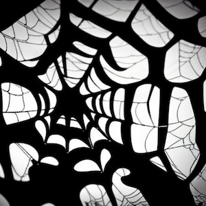 Puede incluir: Imagen en blanco y negro de primer plano de una telaraña. La telaraña es intrincada y detallada, con muchos hilos finos.