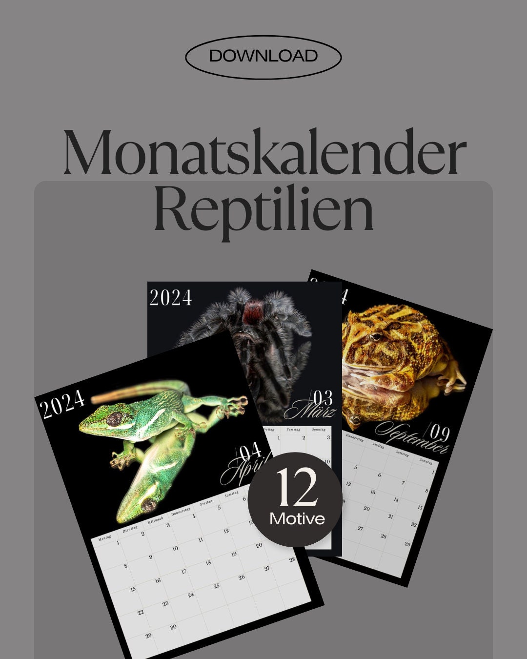 2025 Wall Calendar Reptiles DIY to Print Yourself Instant Etsy