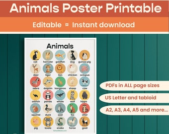 Animals Colour Poster Printable, Homeschool Montessori materials, Preschool, home educator, decor, digital, KS1, English, EYFS, EFL