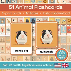 51 bearbeitbare Tier Karteikarten, Hausschule Montessori Materialien, Vorschule Ausdrucke, digital, KS1, Farbe, Englisch, EYF