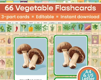 66 Editable Vegetables Herbs Flashcards, Homeschool Montessori materials, Preschool printables, home educator, digital, KS1, colour, English