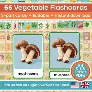 66 bearbeitbare Gemüse und Kräuter Karteikarten, Material für Hausschule, Montessori, Vorschule Ausdrucke, digital, KS1, Farbe, Englisch