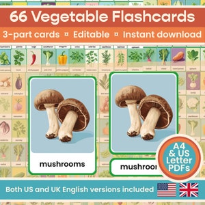 66 Editable Vegetables Herbs Flashcards, Homeschool Montessori materials, Preschool printables, home educator, digital, KS1, colour, English image 1