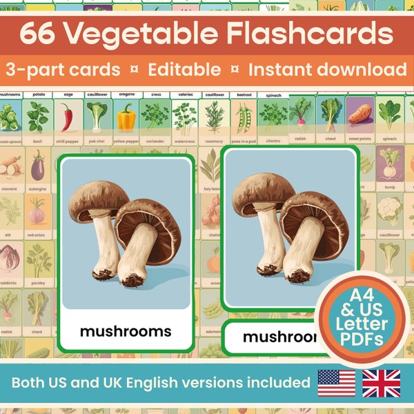 66 Editable Vegetables Herbs Flashcards, Homeschool Montessori materials, Preschool printables, home educator, digital, KS1, colour, English