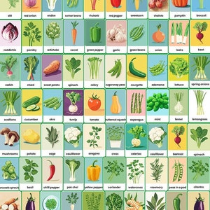 Large display of Montessori flashcards depicting vegetables and herbs