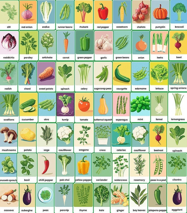 Large display of Montessori flashcards depicting vegetables and herbs