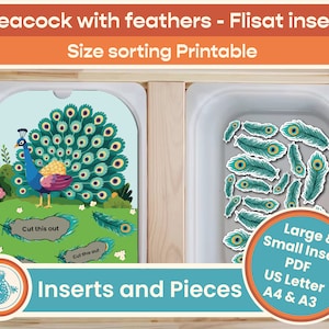Flisat Insert sort peacock feathers by size, Matching Activity, Printable Preschool Learning, Digital Download, Trofast, IKEA Sensory Table