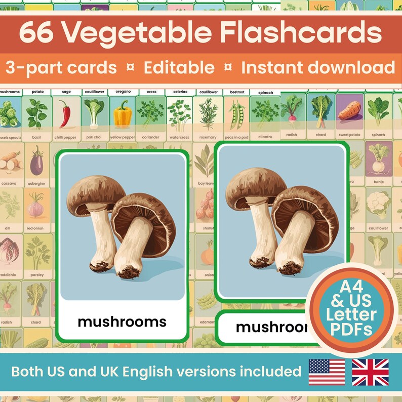 66 Editable Vegetables Herbs Flashcards, Homeschool Montessori materials, Preschool printables, home educator, digital, KS1, colour, English image 1