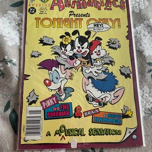 Vintage Comic Book Animaniacs
