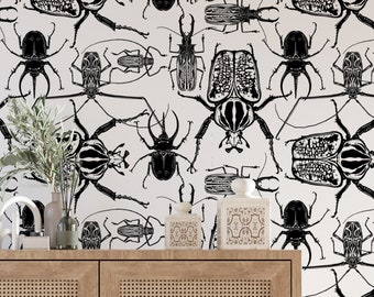Vintage Beetle Wallpaper: Black & White Insect Wall Mural (Peel and Stick)