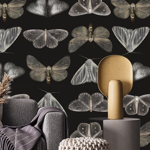 vintage wallpaper moths and butterflies, dark wall mural with butterfly, peel and stick or traditional wallpaper