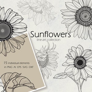 Sunflower svg line art collection. PNG, SVG, Ai, Dxf, Eps files, floral clipart, linear flowers, SVG Flowers, Outline Sunflowers svg Clipart
