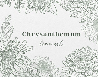 Сhrysanthemum Line Art, PNG, SVG, Ai, jpg, floral clipart, linear flowers, SVG Flowers, Outline, flower line art svg, wreath, bouquet, logo