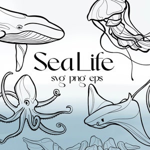 Sea creatures Line art SVG, PNG, and EPS graphics. Marine animals, Undersea World, Ocean Watercolor, fish collection, Ocean wildlife clipart