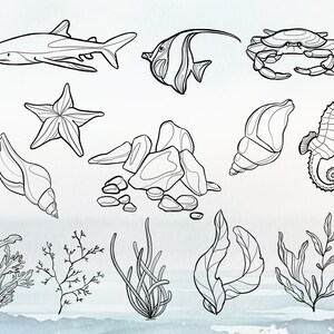 Sea Creatures Line Art SVG, PNG, and EPS Graphics. Marine Animals ...