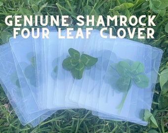 Genuine Four Leaf Clover | Shamrock 4 Leaf Clover | Wedding Favours | Teachers Gift | Good luck | Real Four Leaf Clover | Unique Gift |