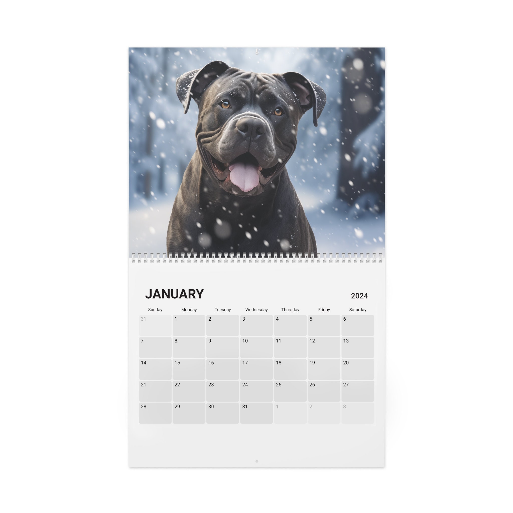 Happy Smiling Cane Corso Calendar 2025 Etsy