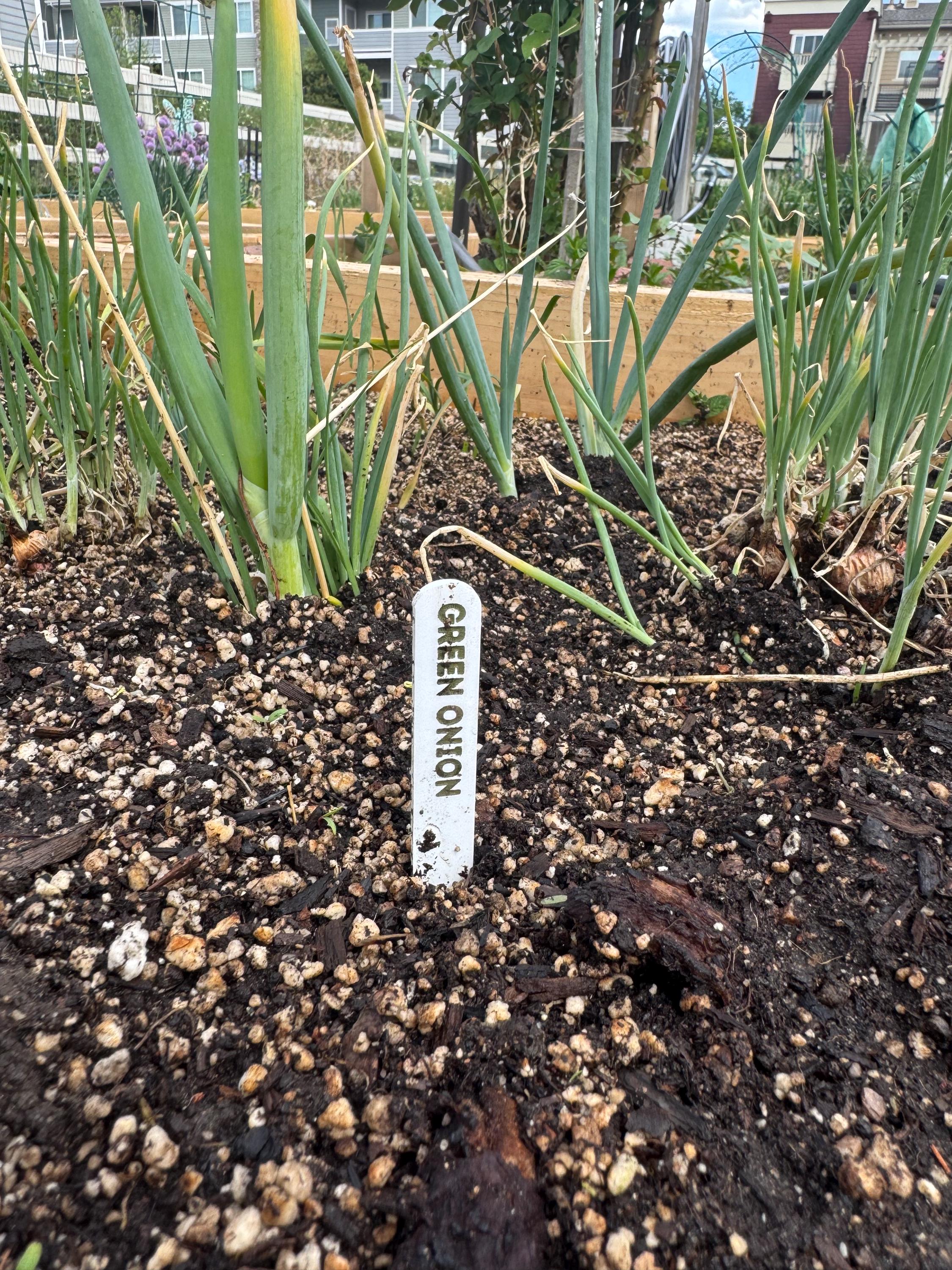 Custom Acrylic Garden Marker Set of 10 | Personalized Garden Stakes ...
