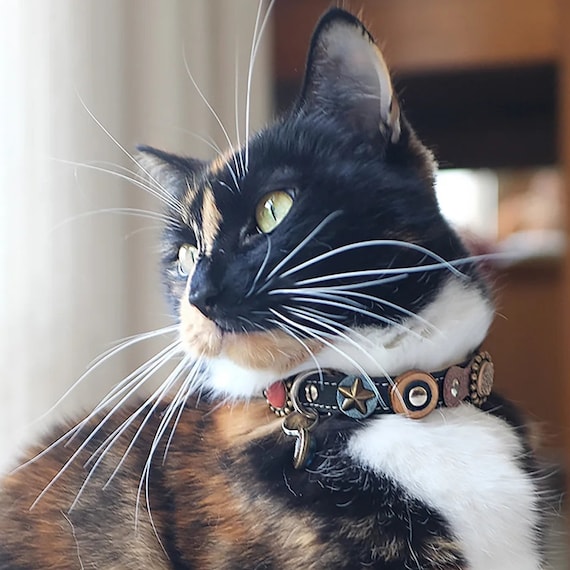 Eye catching Luxury Leather Cat Collar in Unique Stylish Jeans Design Etsy UK