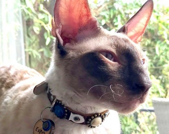 Collier de chat de luxe en cuir avec bijoux, pierres bleues turquoise et beiges