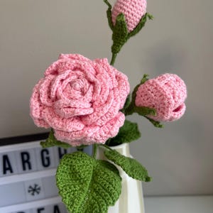 Puede incluir: Un arreglo de rosas de ganchillo en un jarrón blanco. El arreglo presenta una gran rosa rosa abierta, dos capullos rosas y hojas verdes. El jarrón se coloca frente a una caja de luz con la palabra "IDEA".