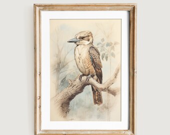 Impresión artística de un boceto de cucaburra / Pájaro australiano vintage (descarga digital)